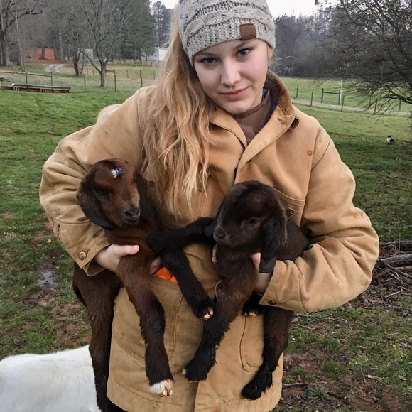 Meet your Posher, the Old Goat - Picture 5 of 13